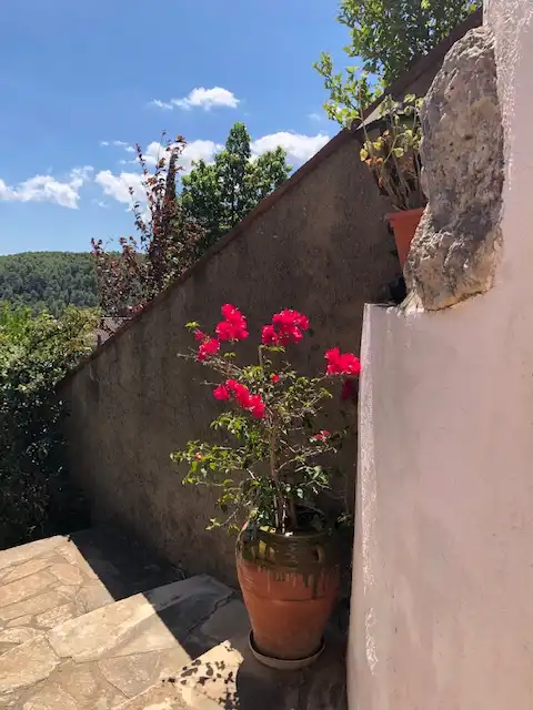 Jardí de Casa o xalet en venda en La Palma de Cervelló amb Aire condicionat, Calefacció i Jardí privat
