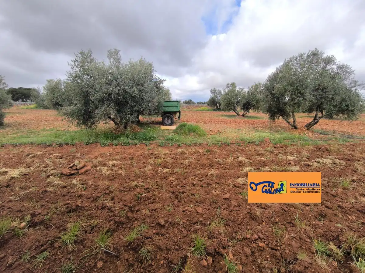 Chalet en venta en Valdepeñas, imagen 28