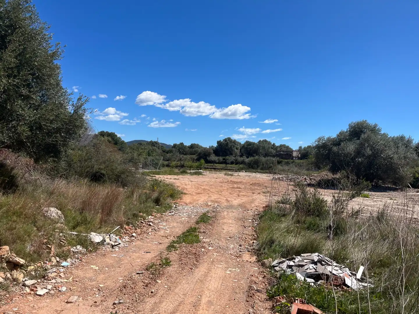 Rustikales Grundstück zum Verkauf in Partida Santa Ana 1, imagen 4