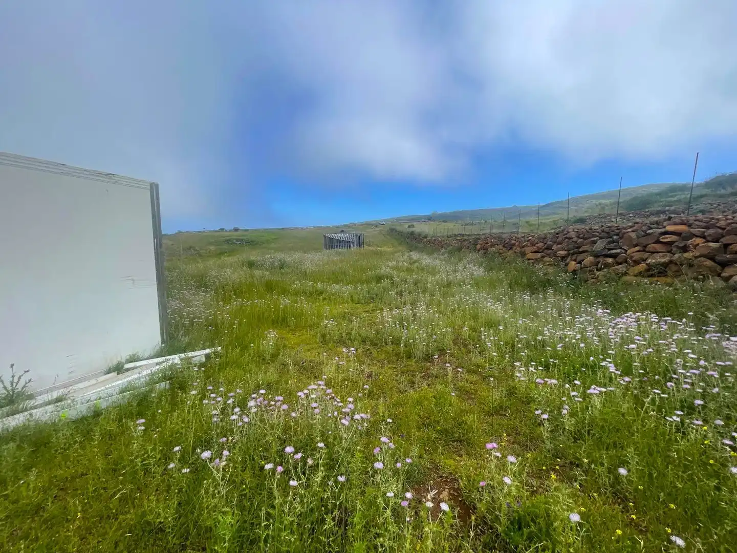 Rural land for sale in LA PASADILLA, imagen 3