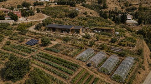 Foto 3 de Terreno en venta en Camino del Piojo, 231, Benalmádena, Málaga, Spain, -1, La Capellanía - El Higuerón, Benalmádena