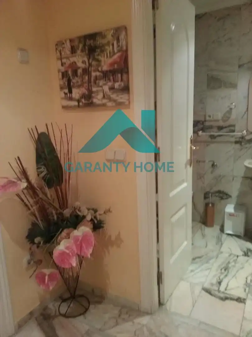 Apartments for rent in Centro