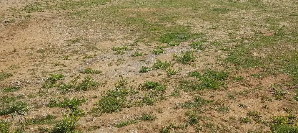 Industrial land for rent in Polinyà