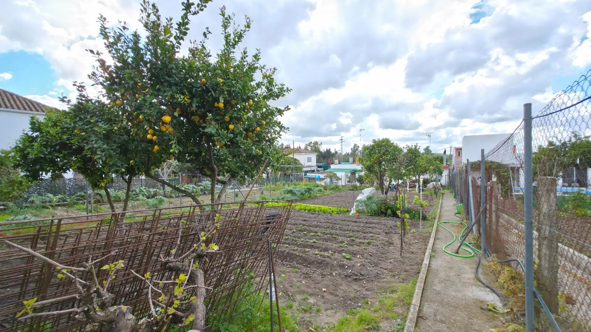 Garden of Houses for sale in Arcos de la Frontera  with Private garden and Storage room