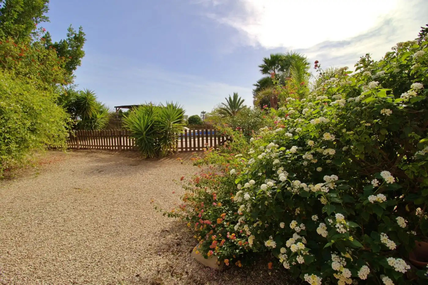 Villa con piscina in vendita a Valverde, imagen 91