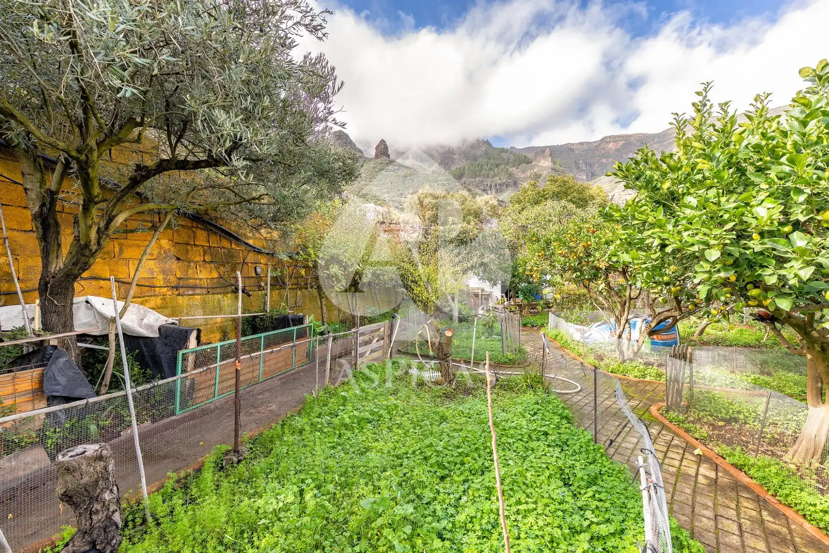 Casa rústica amb jardí en venda a Calle Los Parrales 12, imagen 30