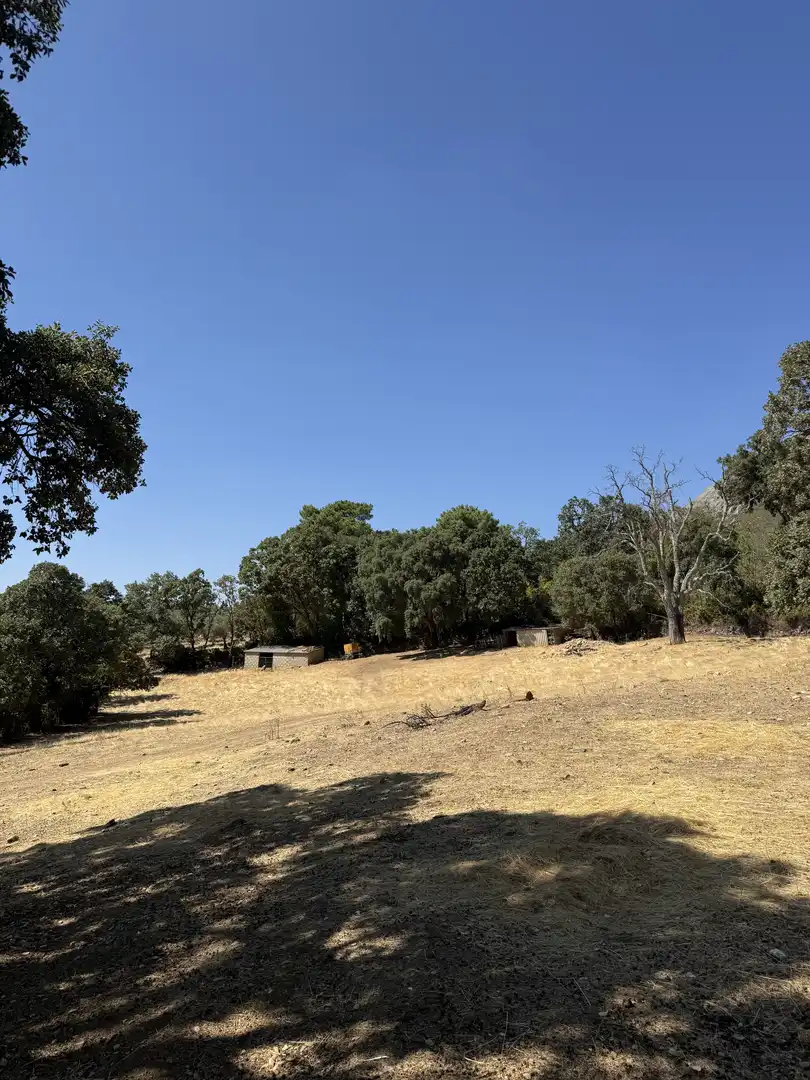 Terreno en venta en Berzocana