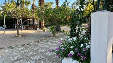 Foto 3 de Finca rústica en venda a Camino Camino de Ayamonte, Ayamonte ciudad, Ayamonte