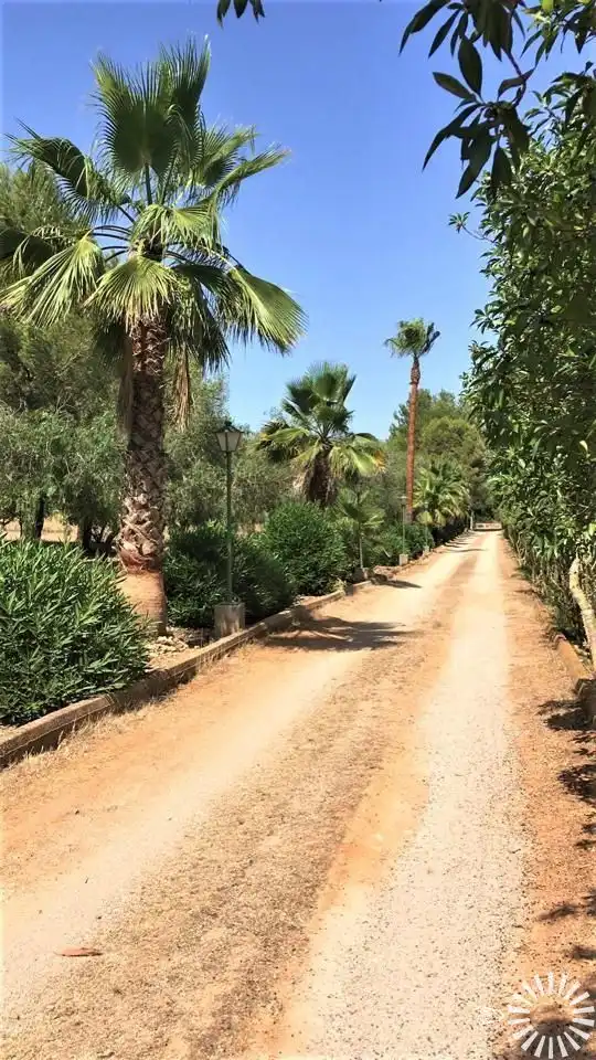 Maison avec piscine à louer à Camí de Son Servera, imagen 32