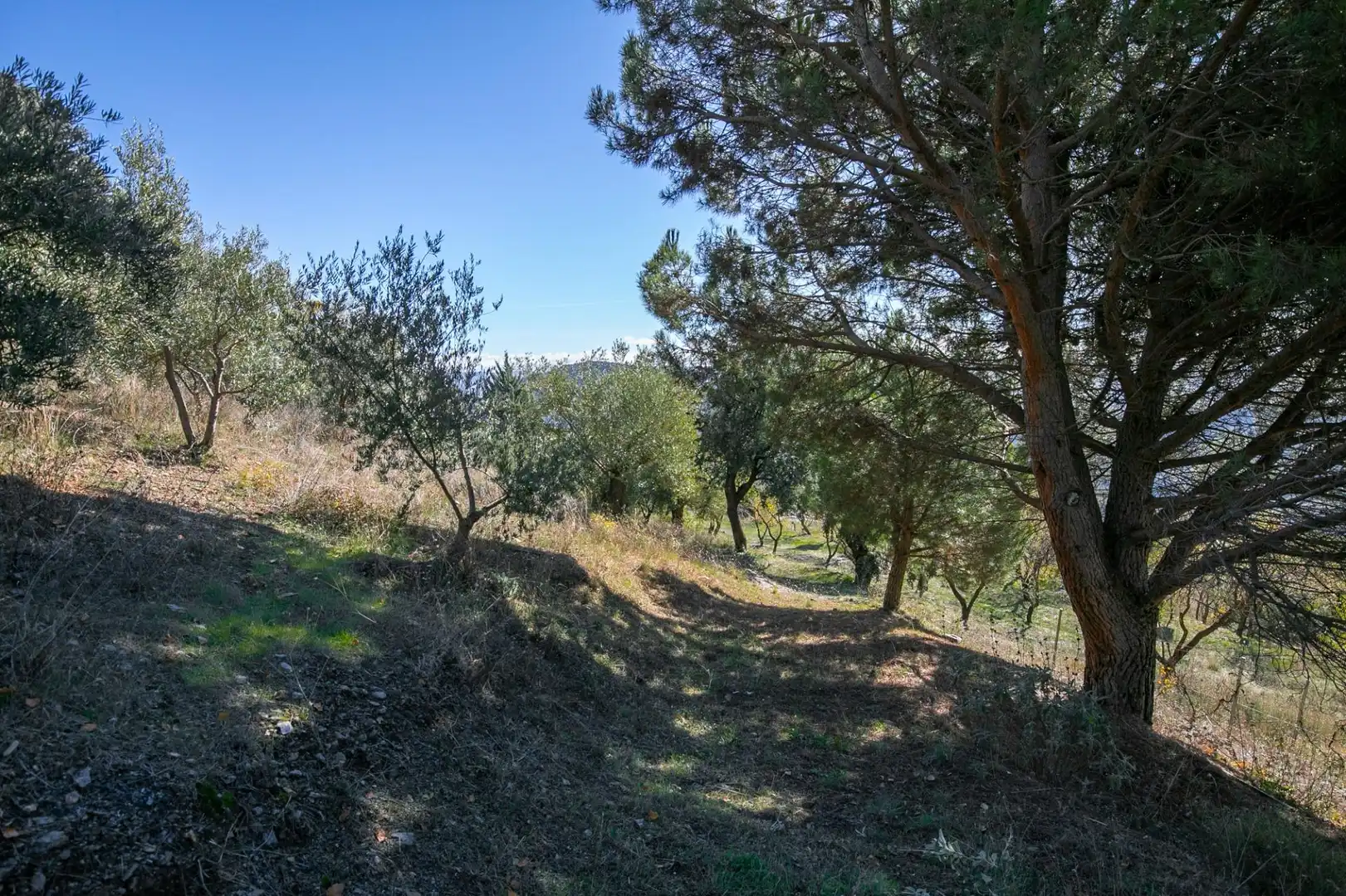 Finca rústica en venda en La Taha