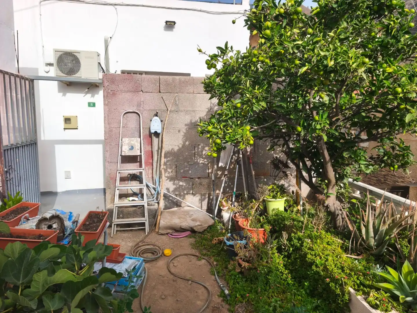 Jardí de Casa o xalet en venda en Candelaria amb Aire condicionat, Jardí privat i Terrassa