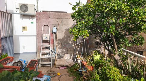 CASA TERRERA CON JARDÍN EN IGUESTE DE CANDELARIA, TENERIFE, ISLAS CANARIAS, ESPAÑA, imatge 3