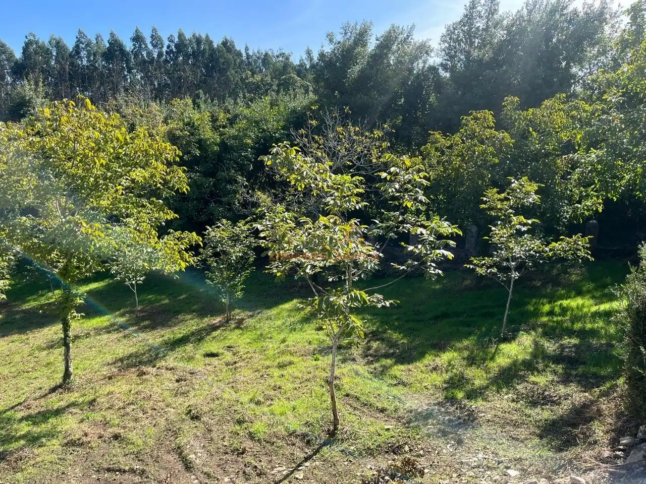 Casa amb jardí en venda a Cedeira, imagen 6