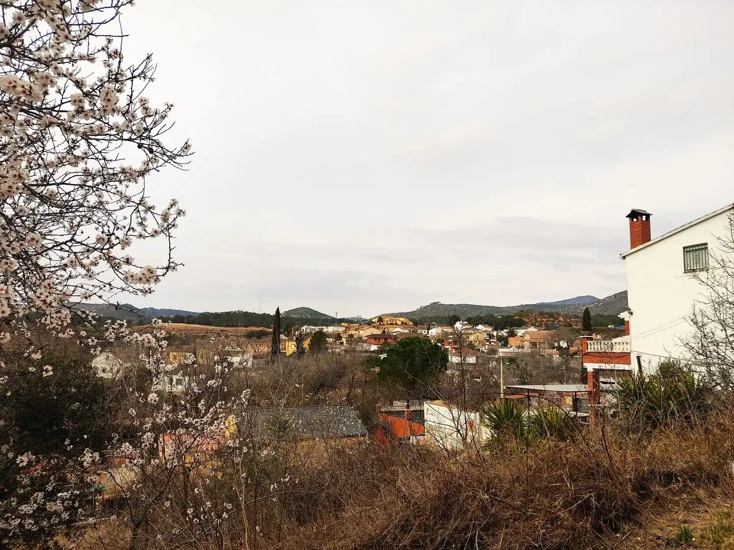 Terrenys i solars en venda a La Bisbal del Penedès, imagen 17