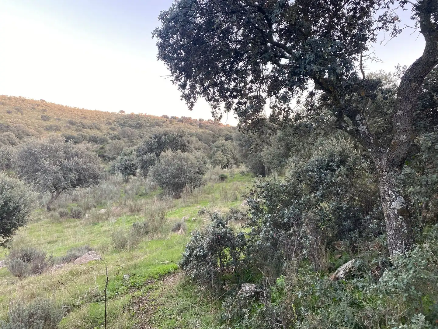 Terreni e lotti in vendita a Villar del Pedroso, imagen 13