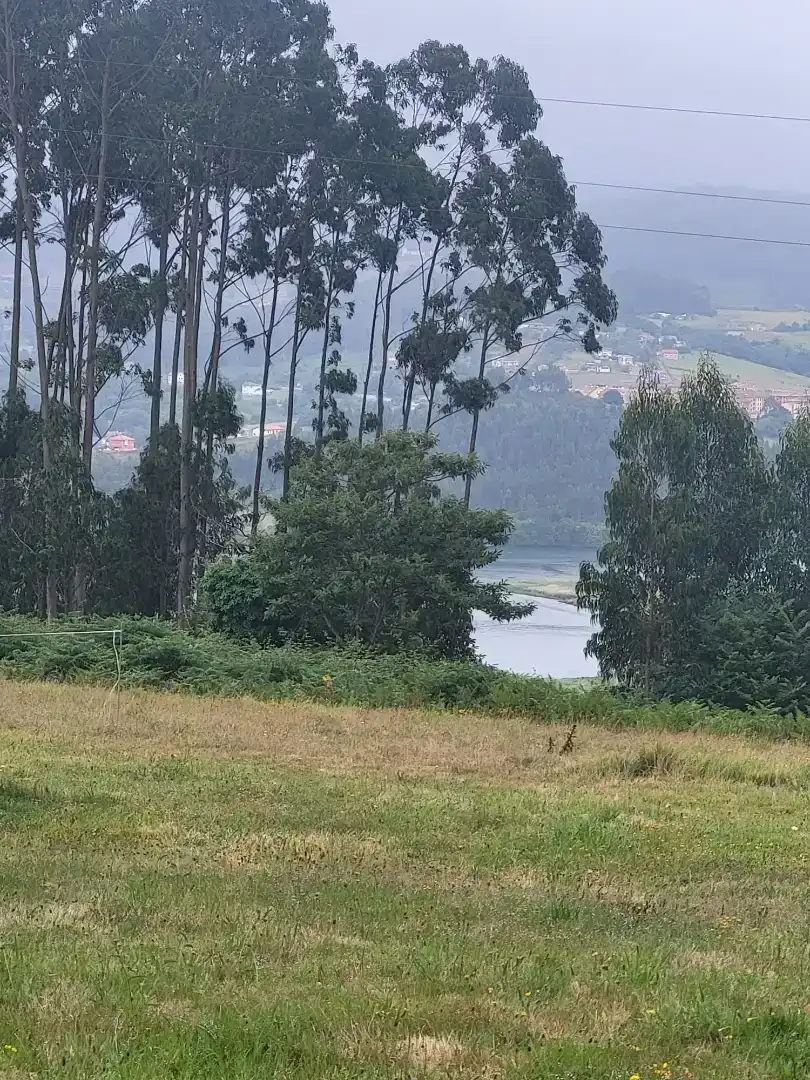 Finca rústica en venda en Muros de Nalón