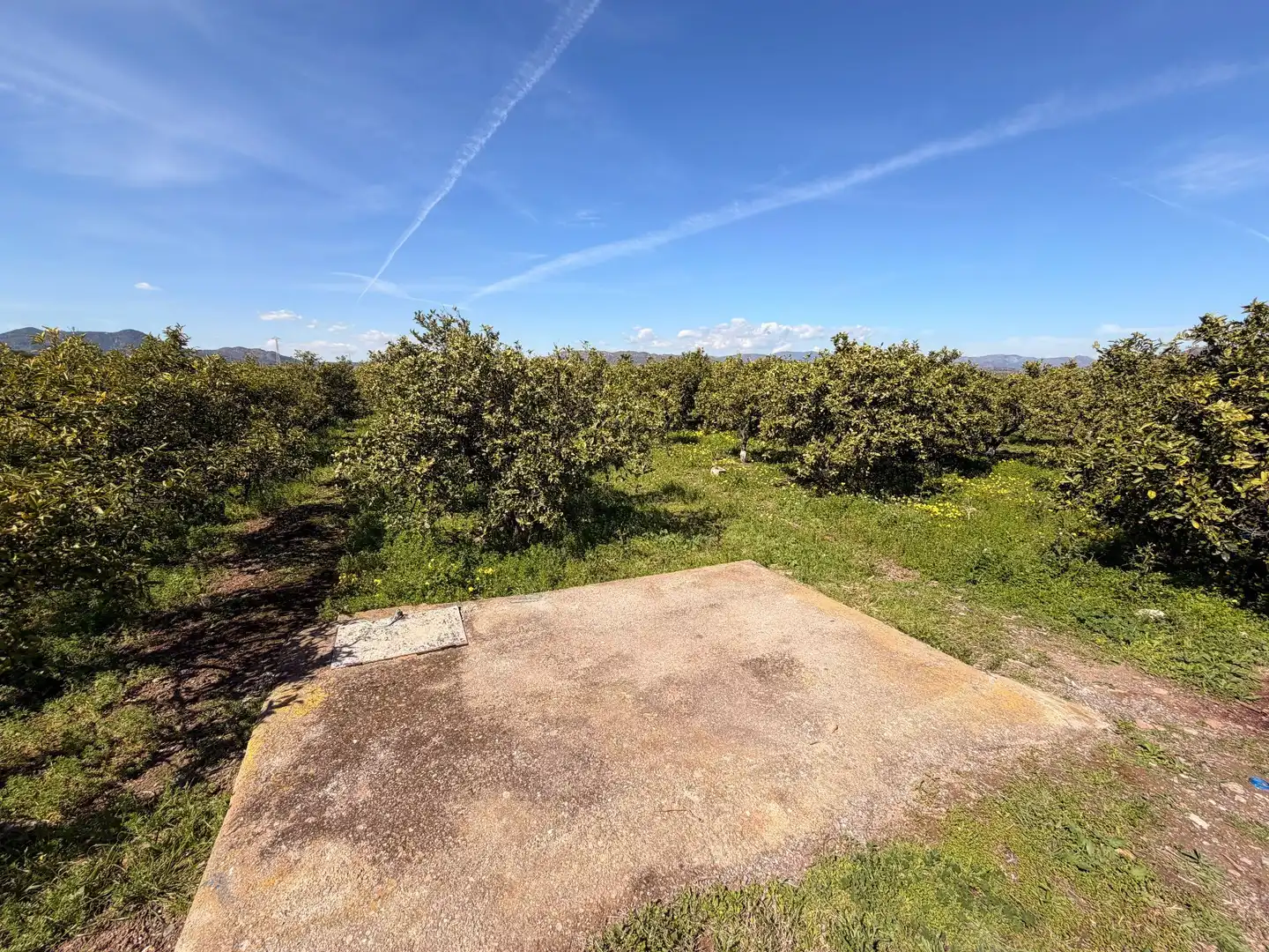 Rural land for sale in Almenara, imagen 12