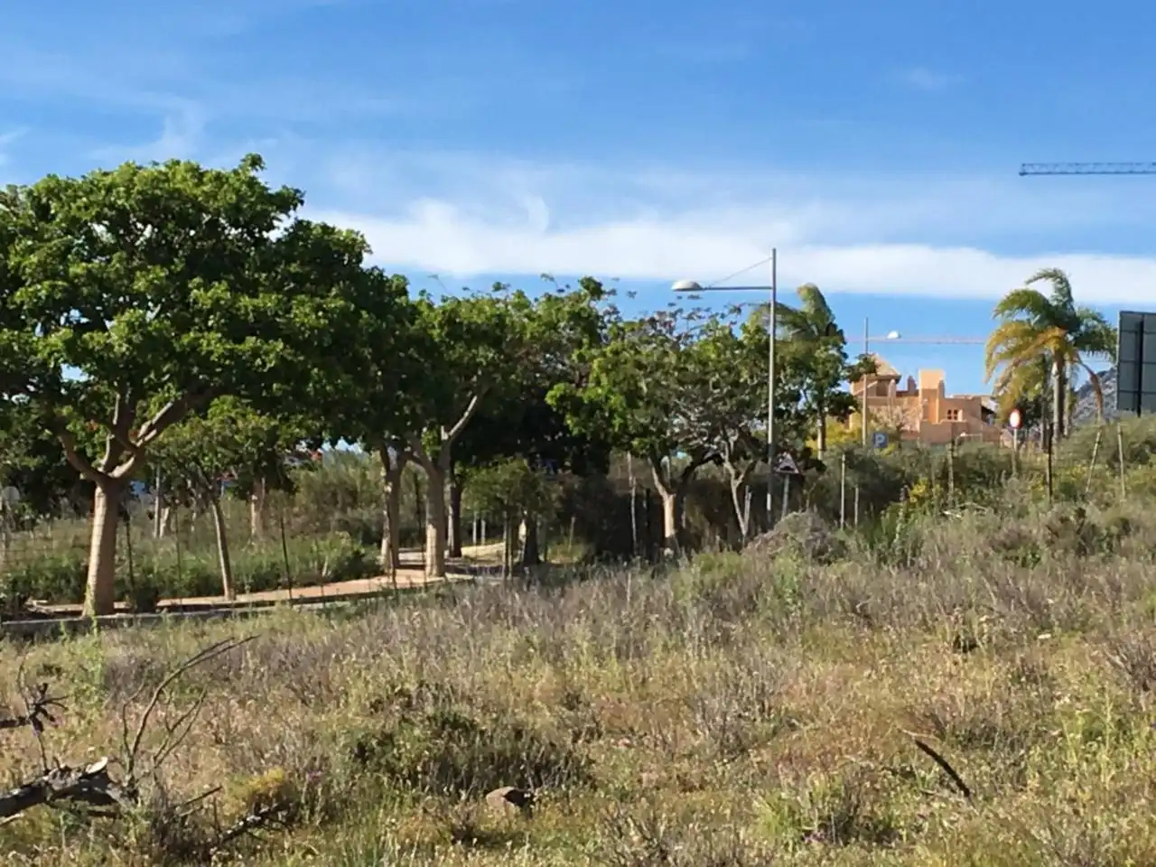 Rural land for sale in Calle GUADALMANSA, imagen 9