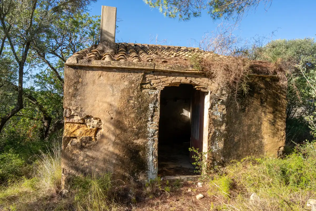 Terreny rústic en venda a Camí de la Potra de Pino 28, imagen 8