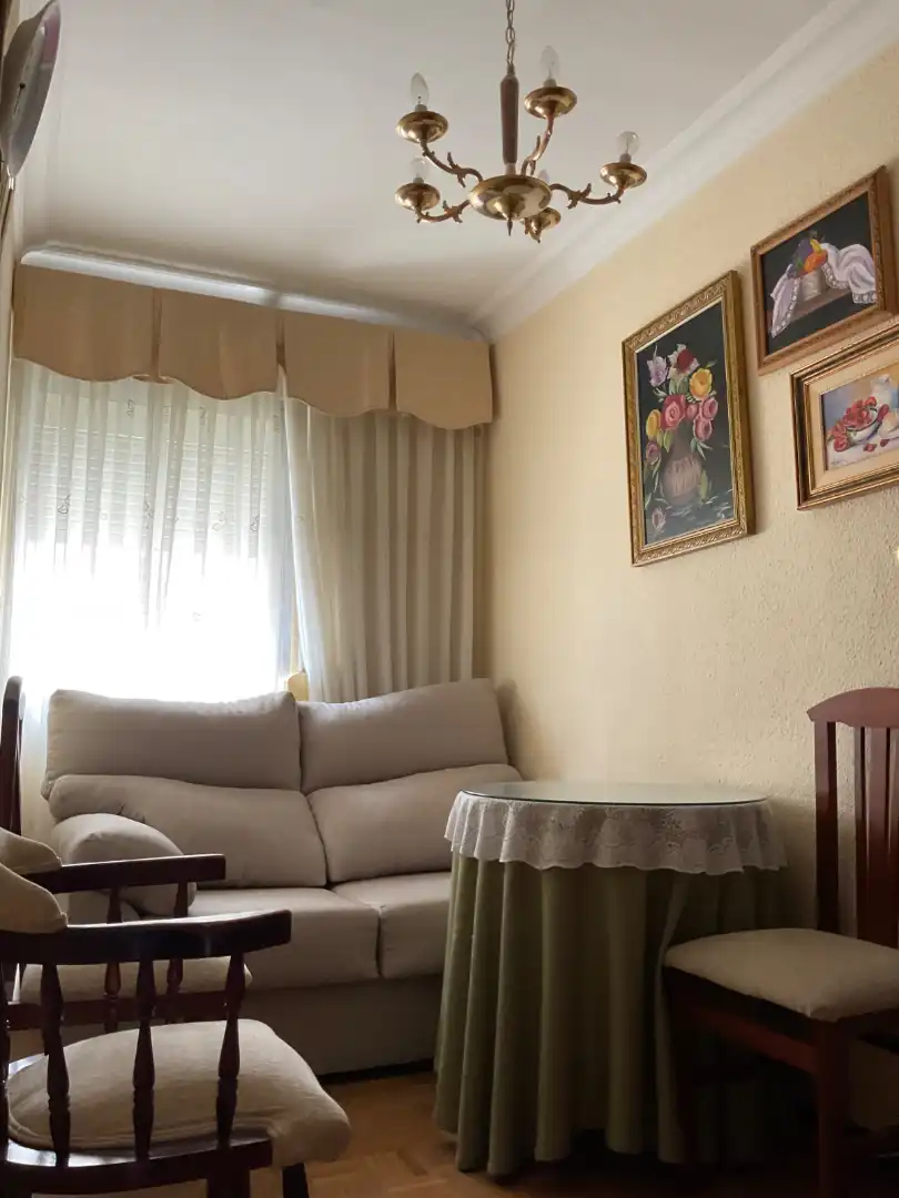 Sala de estar de Piso de alquiler en Madrid con Aire acondicionado, Amueblado y Horno