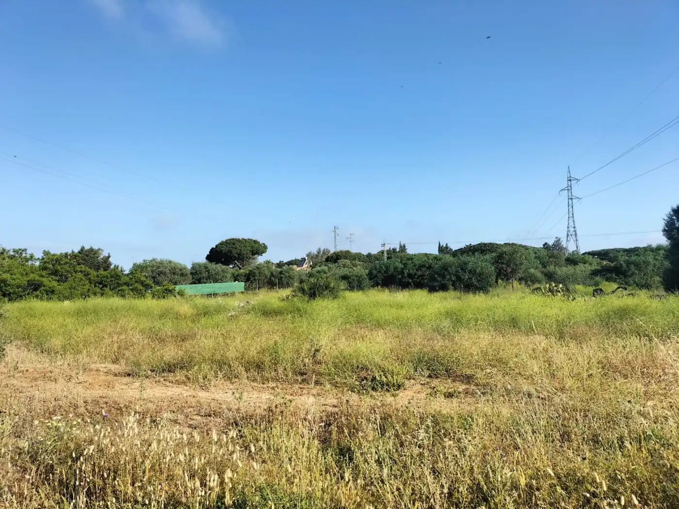 Terreno rústico en venta en Villanueva Golf, imagen 15