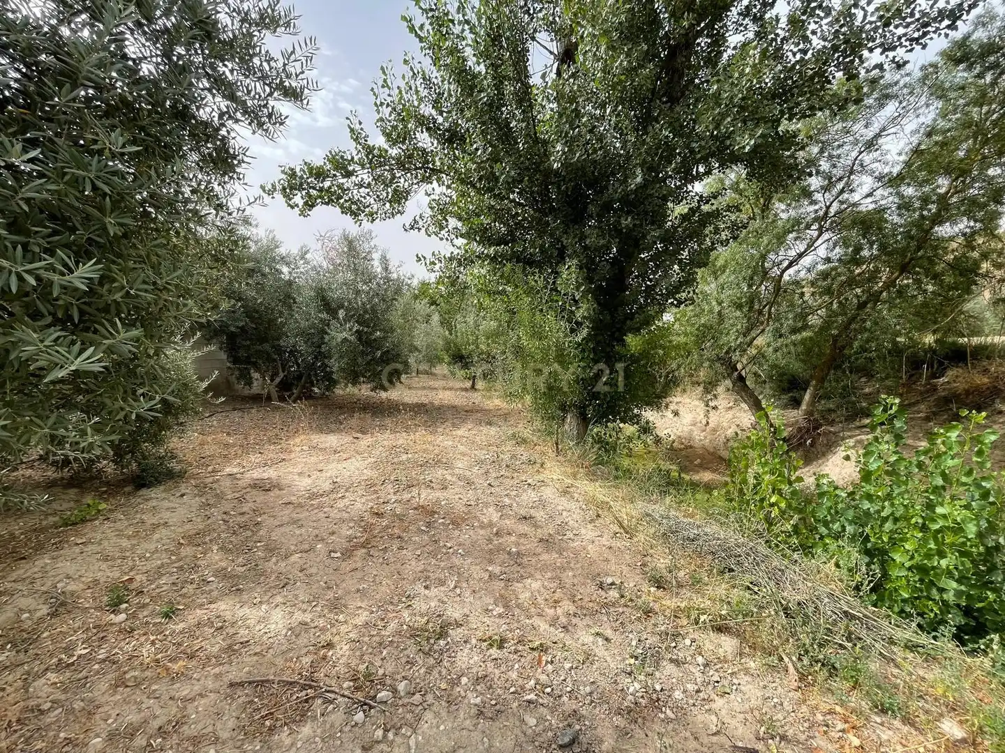 Rustikales Grundstück zum Verkauf in 18260 Íllora, Spain, imagen 23