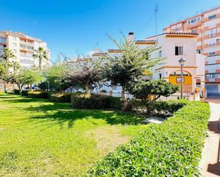 Jardí de Casa o xalet en venda en Torrox amb Aire condicionat i Piscina comunitària