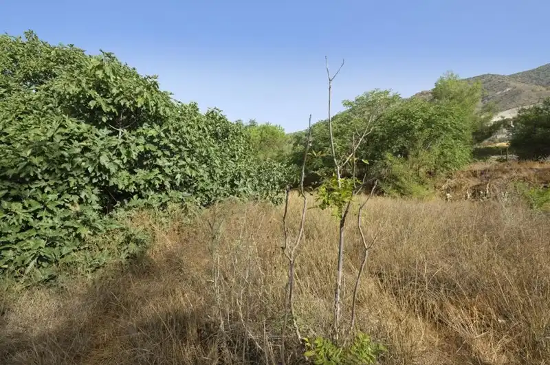 Terreni e lotti in vendita a Padul, imagen 23