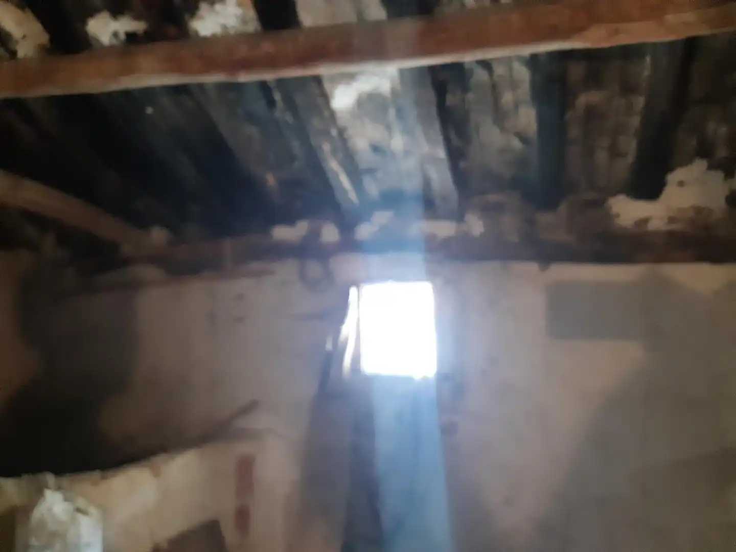 Detached homes for sale in Bergasa