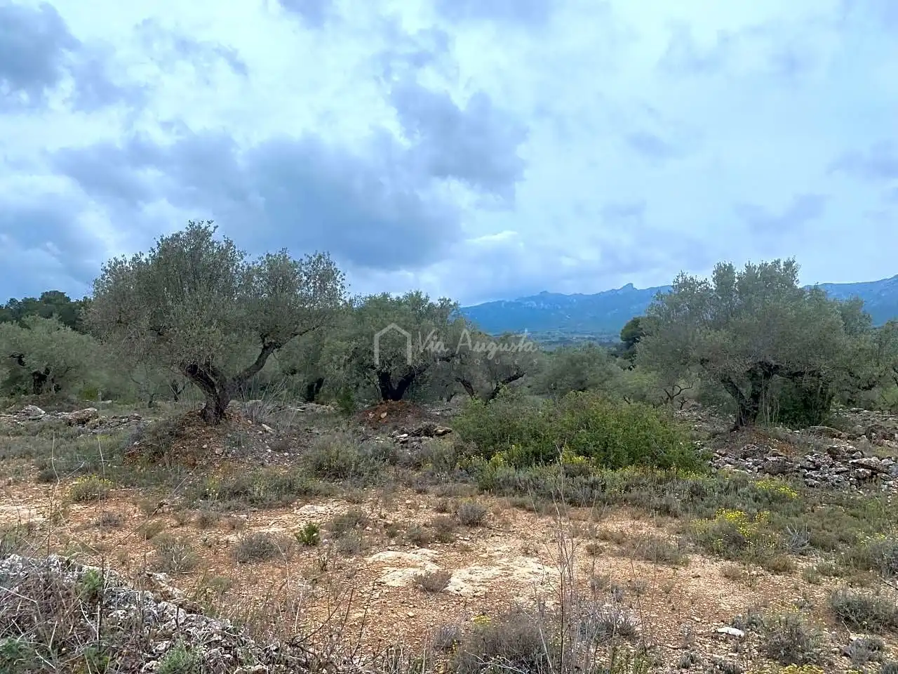 Terreno rustico in vendita a Burga, imagen 3