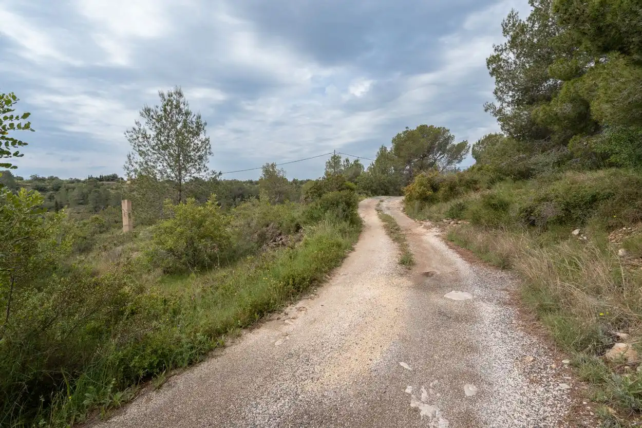 Terreno rustico in vendita a Jesús - Els Reguers, imagen 7