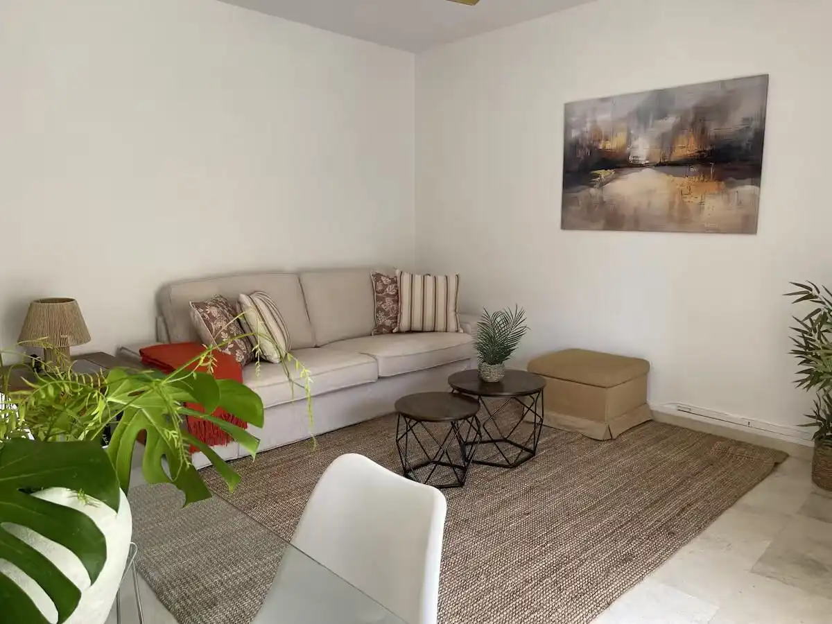Sala d'estar de Pis de lloguer en Centro