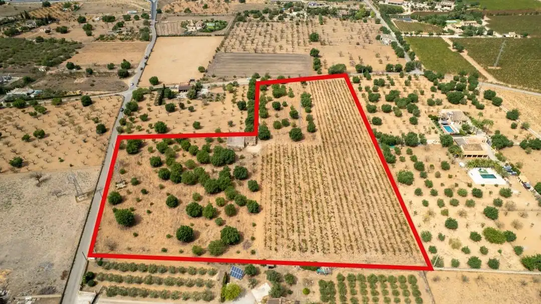 Land for sale in Consell