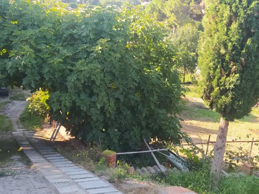 Garden of Residential for sale in Vilobí d'Onyar