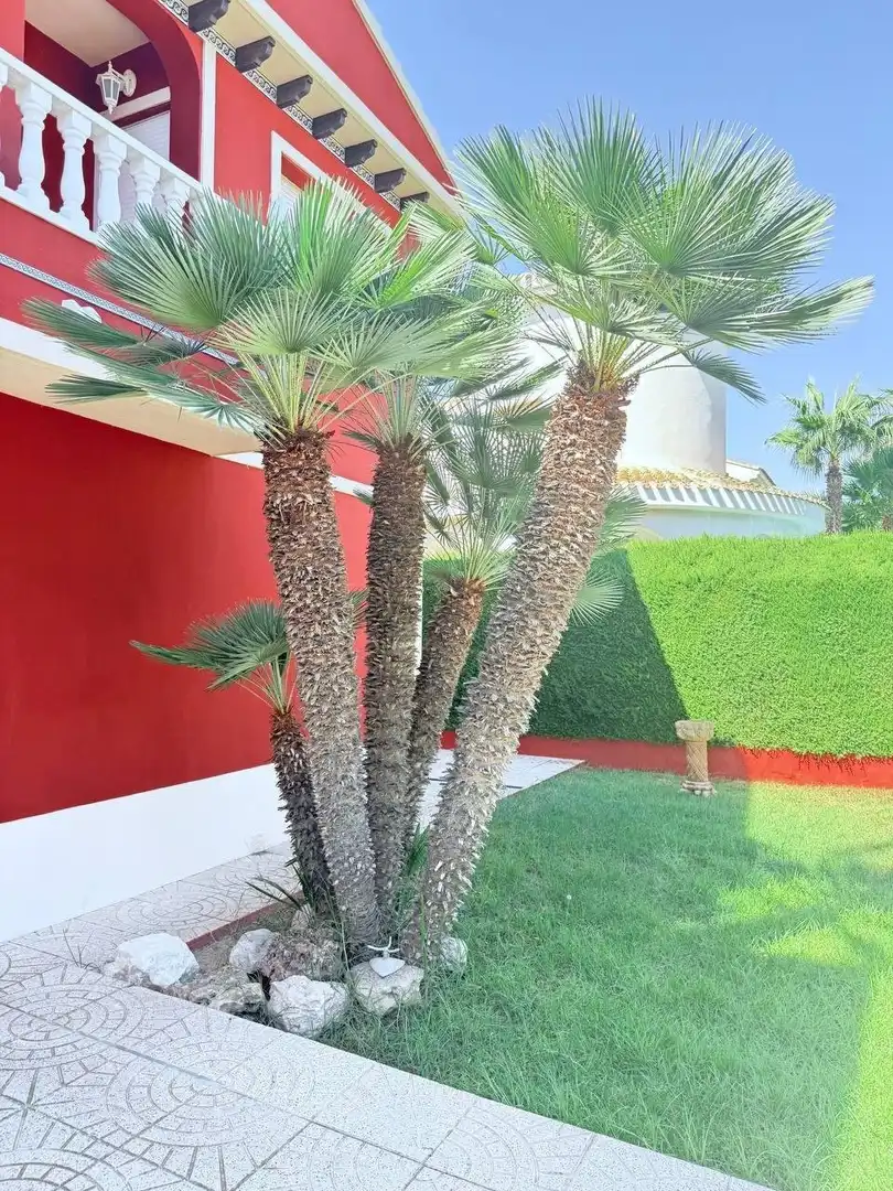 Casa amb piscina en venda a Orihuela Costa, imagen 21