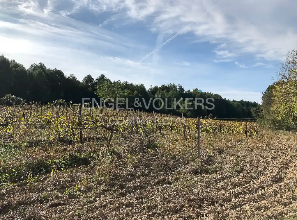 Fabrik Grundstücke zum Verkauf in Avinyonet del Penedès