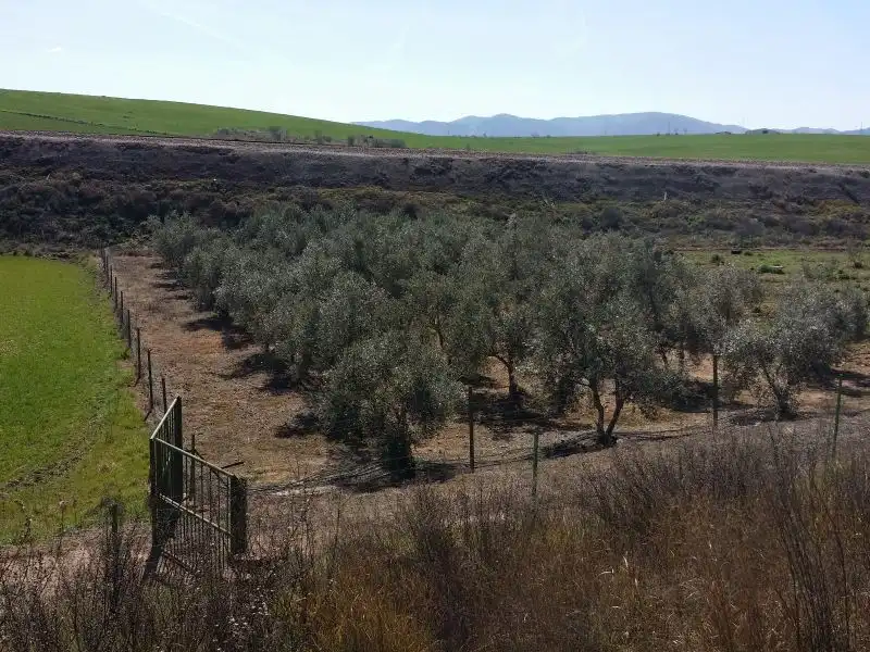 Casa rústica en venda a Peñarroya-Pueblonuevo, imagen 2