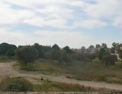 Terreny rústic en venda a Ptda Las Canals - Las Teclas -, imagen 6