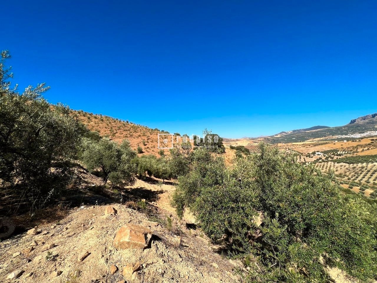 Industrial land for sale in Almogía
