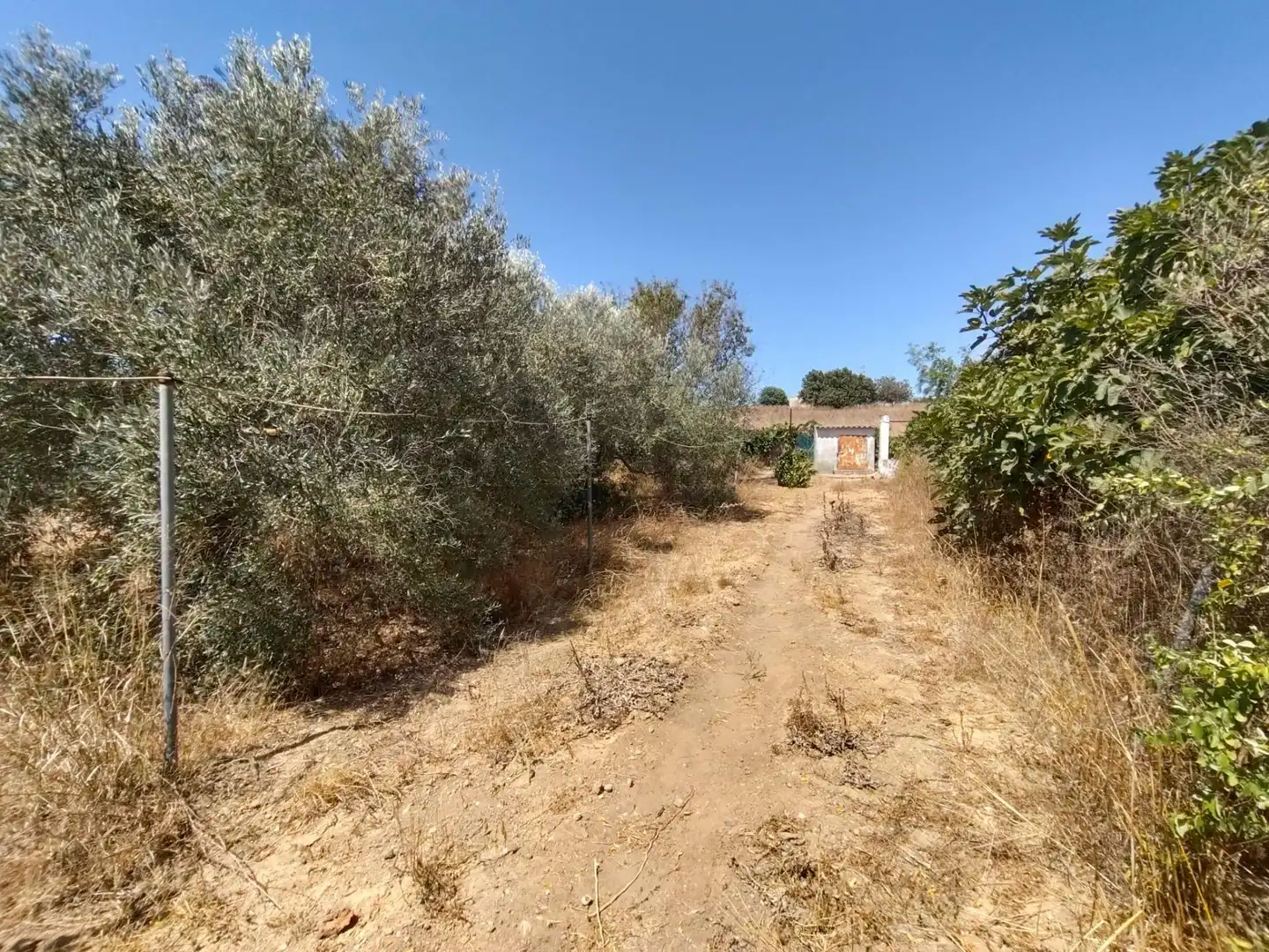 Wohnbaugrundstück zum Verkauf in La Banda - Campo de Fútbol, imagen 16