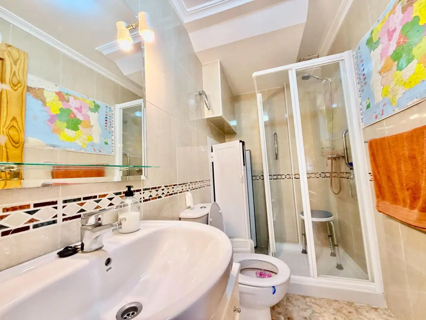 Bathroom of Detached homes for sale in Pilar de la Horadada  with Air Conditioner, Private garden and Terrace