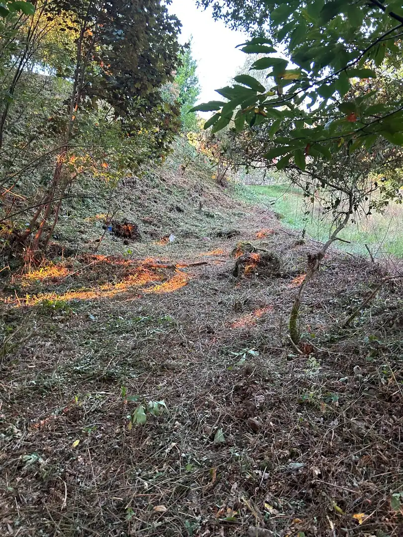 Terreni e lotti in vendita a Soigrexa, imagen 13