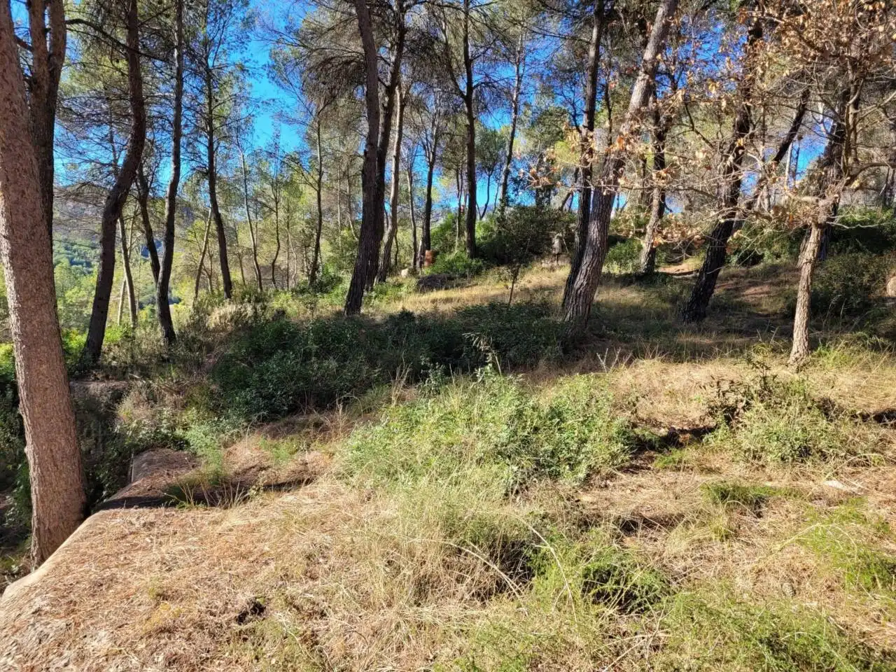 Casa o xalet en venda en Vacarisses amb Aire condicionat, Jardí privat i Piscina