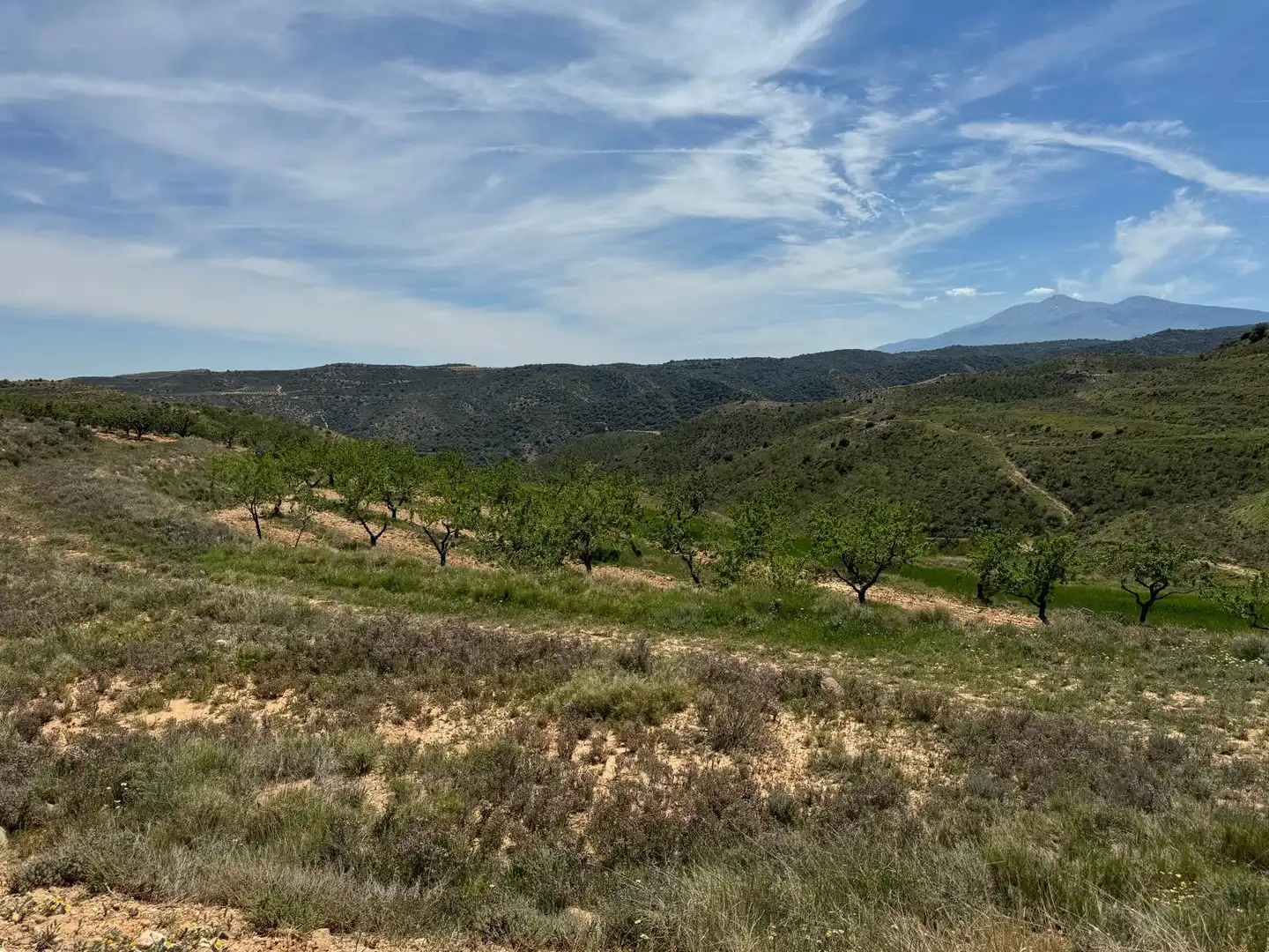 Terreno rustico in vendita a Cervera del Río Alhama, imagen 4