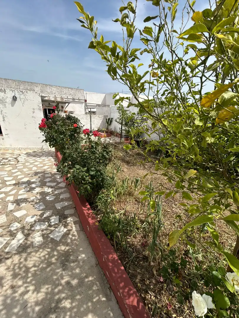 Terraza de Casa o chalet en venta en Puerto Real con Amueblado