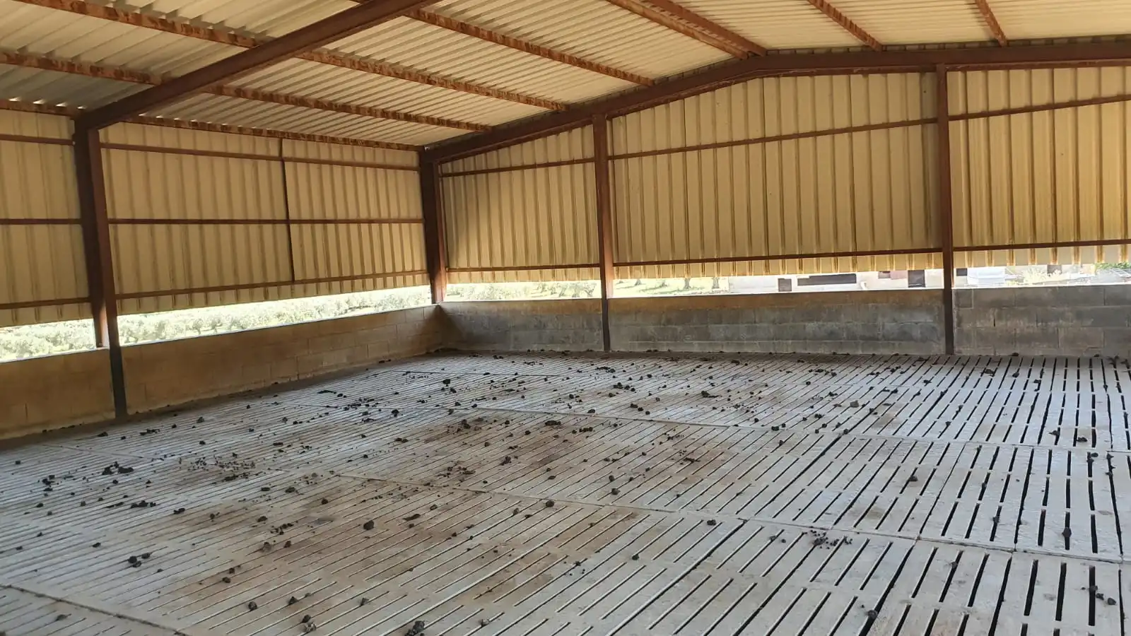 Nave industrial en venta en Salvaleón