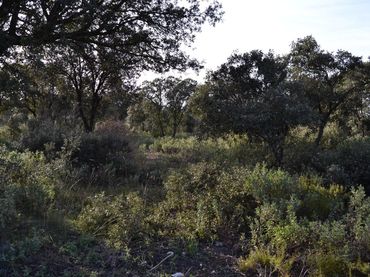 Terreny residencial en venda a Hontoba