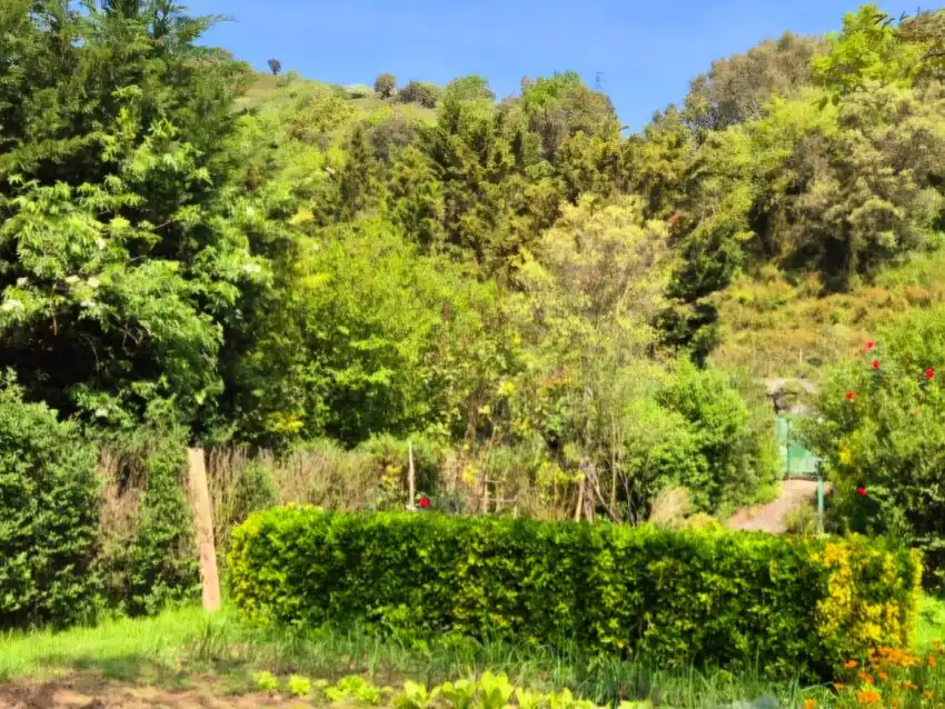 Land for sale in Zierbena