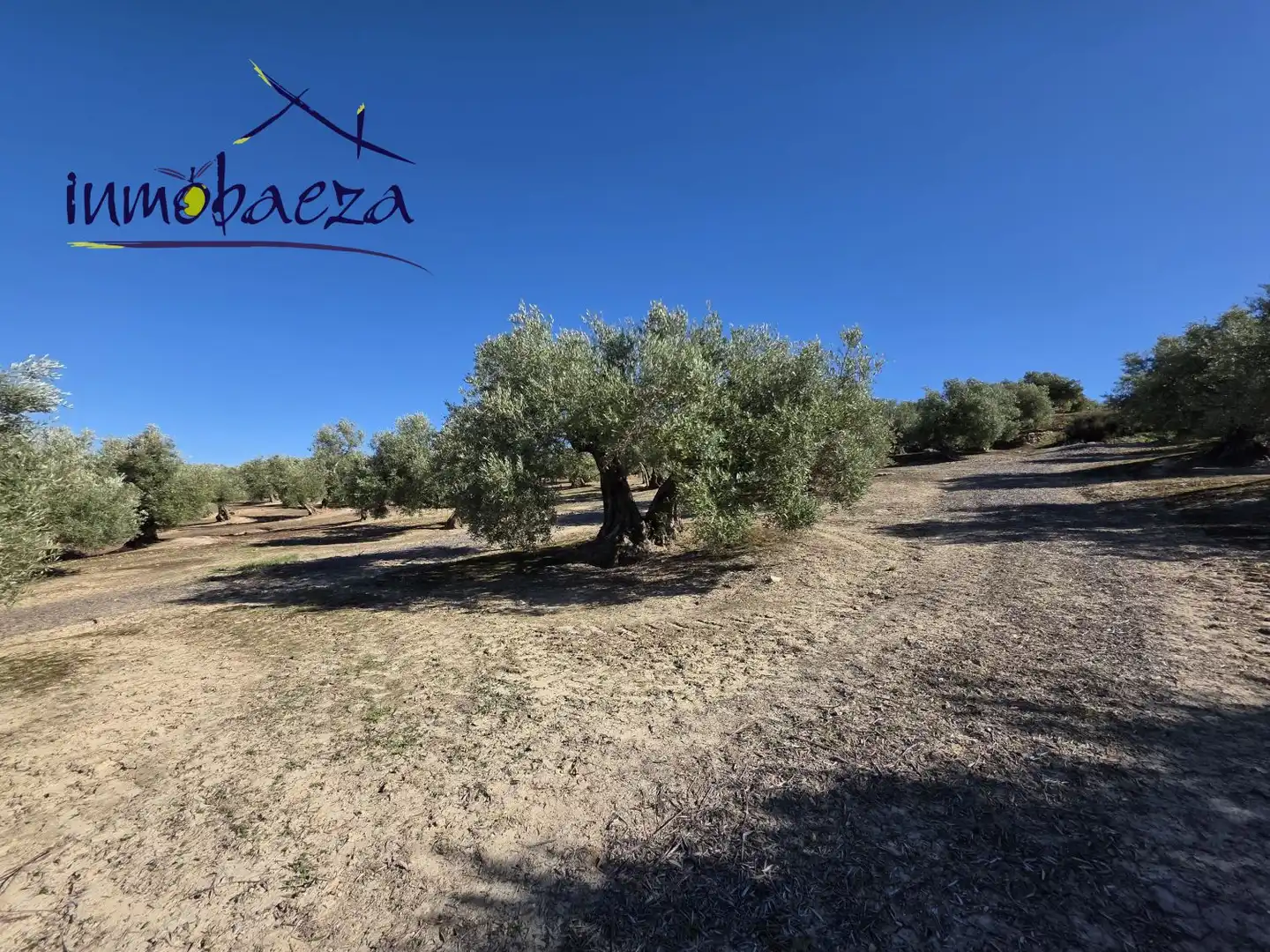 Country homes for sale in Baeza