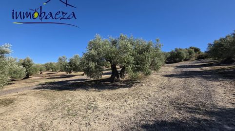 Finca en venta en Baeza., imagen 2